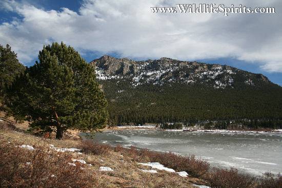 Click Picture to send as an  E-PostCard 56k 550x367
